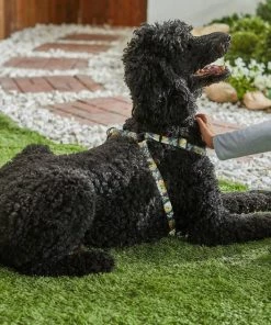 STAR WARS THE MANDALORIAN GROGU Harness + Dog Leash -STAR WARS Shop 319606 PT4. SY630 V1630616781