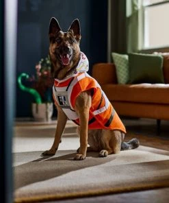 STAR WARS LUKE X-WING FIGHTER PILOT Dog & Cat Jacket -STAR WARS Shop 335186 PT8. SY630 V1657656882