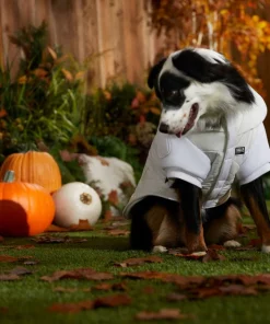 STAR WARS PRINCESS LEIA HOTH Dog & Cat Puffer Jacket 11 STAR WARS PRINCESS LEIA HOTH Dog & Cat Puffer Jacket -STAR WARS Shop 335219 PT8. SY630 V1657656945